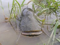 /album/rybolov-my-life-style/a631-461641630597251-1142719431-n-jpg/